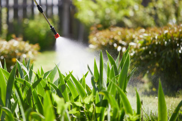 24/7 Emergency Fumigation Services experts in Escalon, CA
