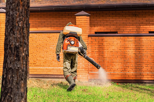 Trusted Ant Control service in Escalon, CA - Nex Pest Control